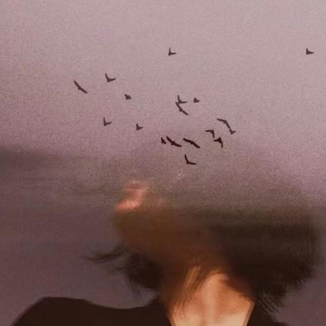 木讷树📷（找合作模特）