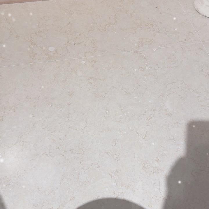 D大猫