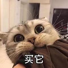 优佳设计师女鞋2