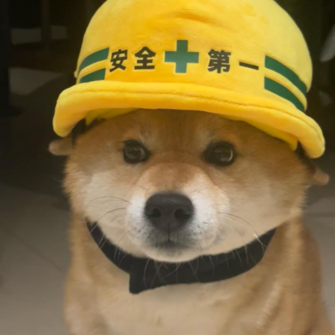 我不是饼哥2.0