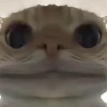 778888