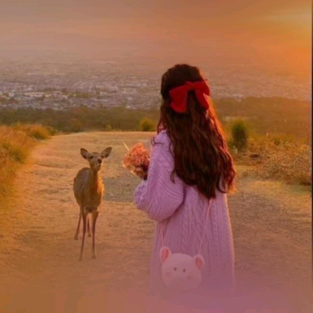 এۣۖิ追风的❥楊 ℘