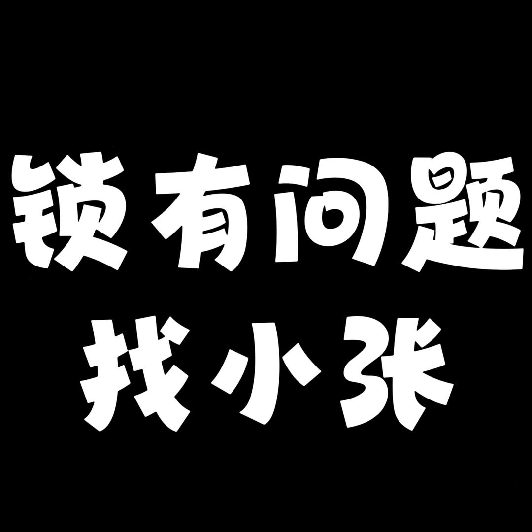凯迪仕智能锁西平总店