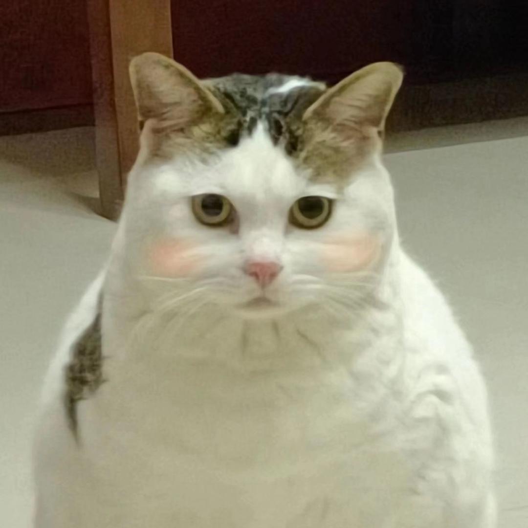 叶清烛