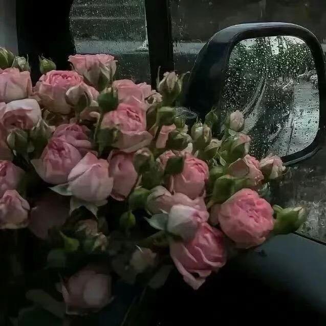 💫瑶瑶💫⛅️