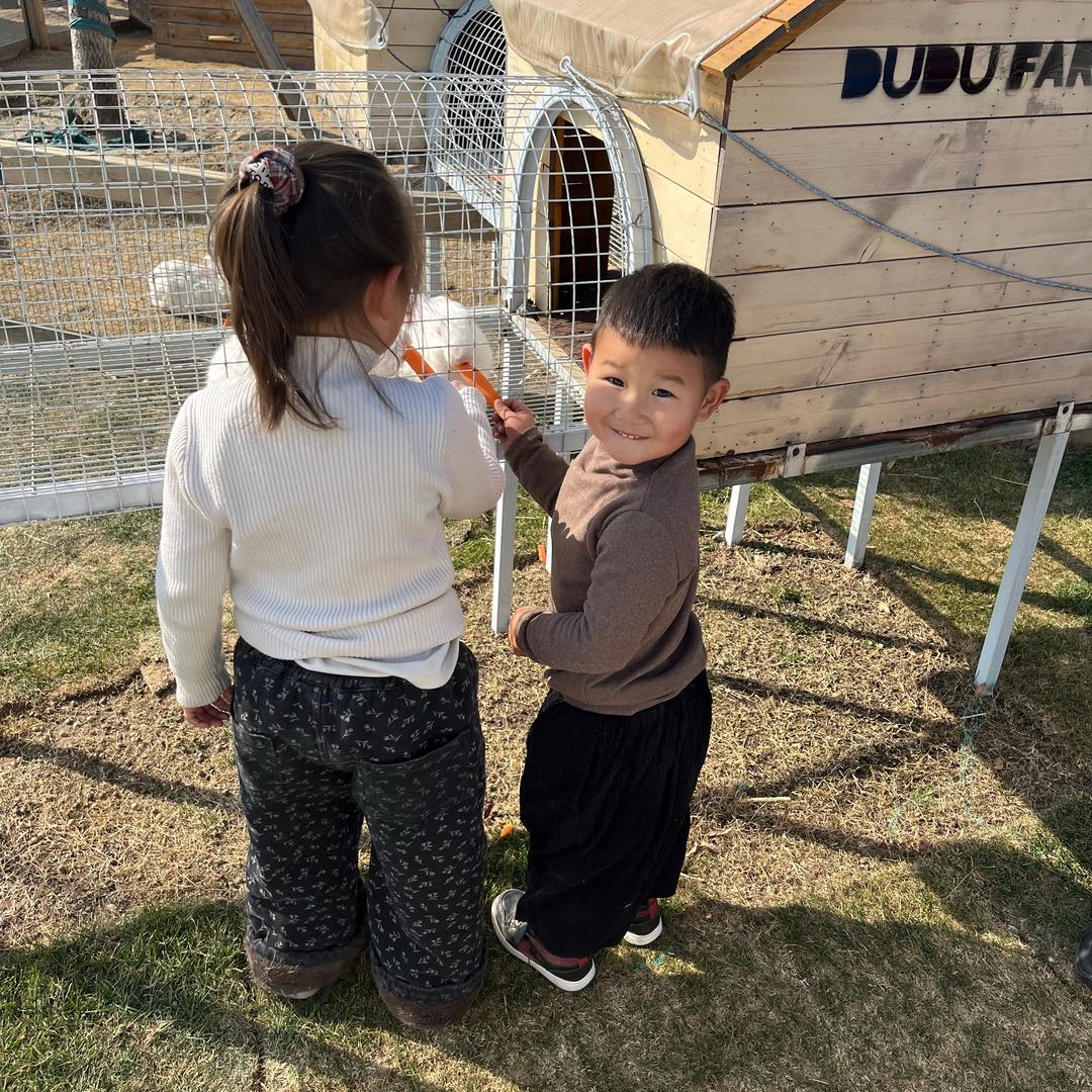 追溯到公元前的🐟