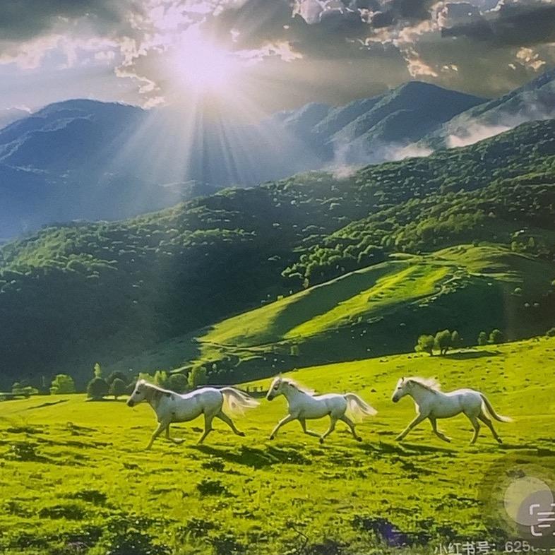 华强北鬼市机械⌚️