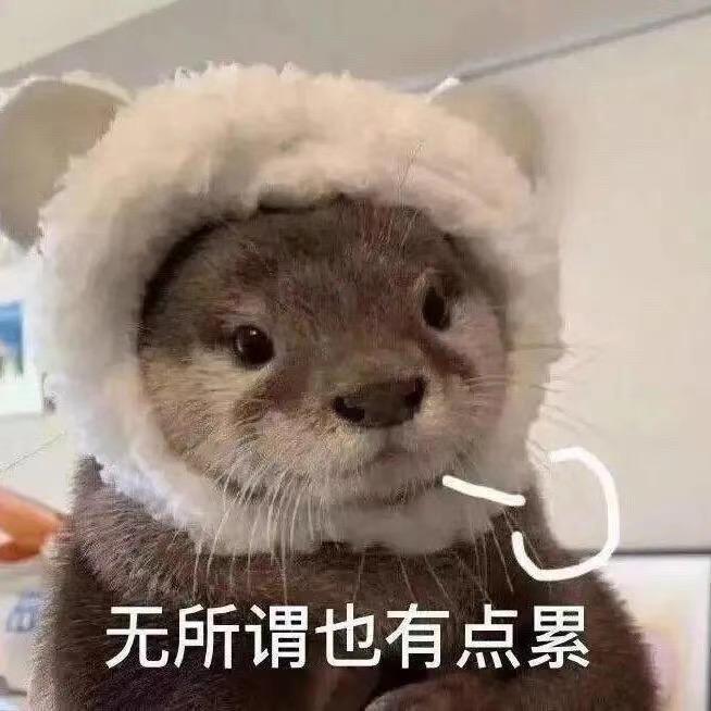 聪明人不午睡