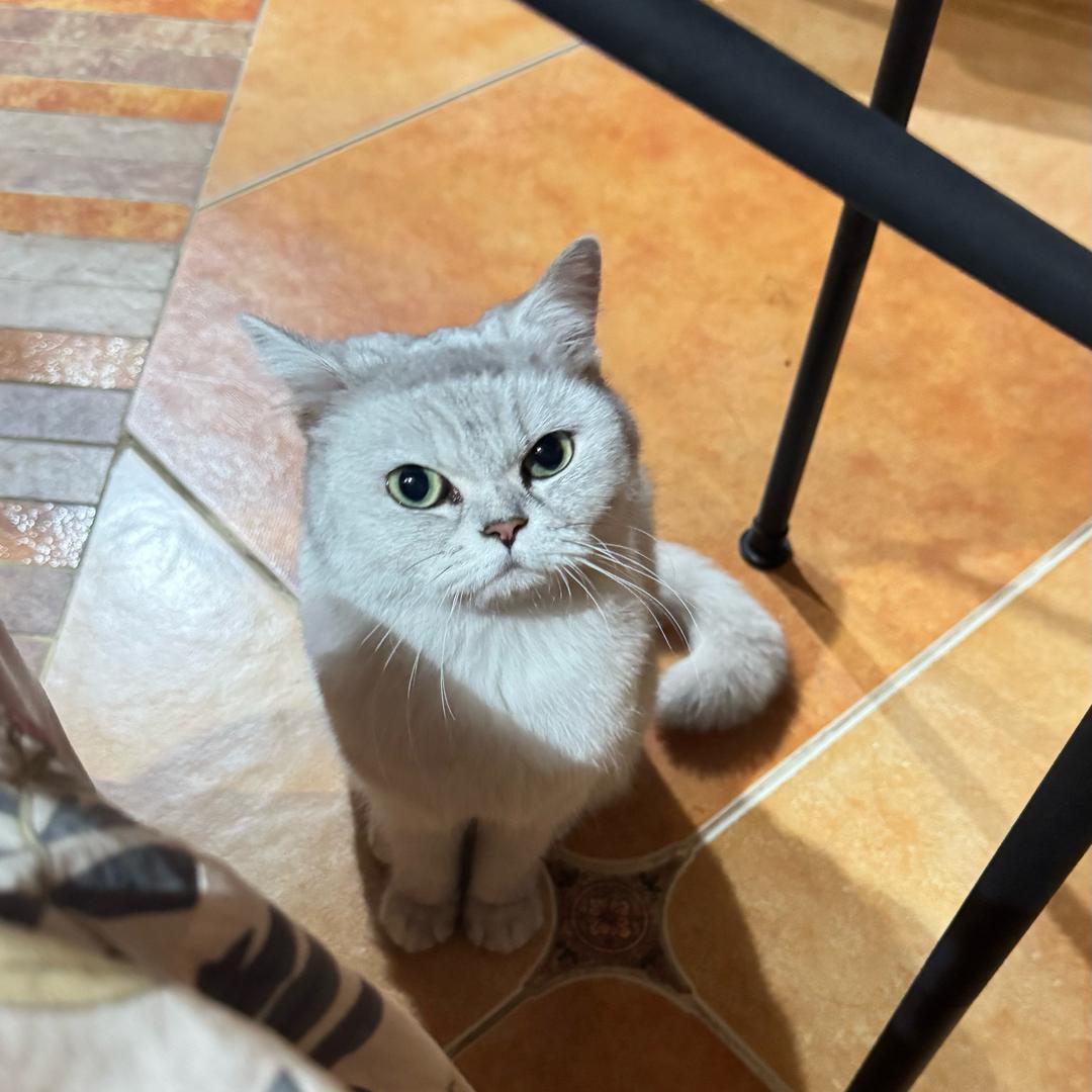 是婷大大