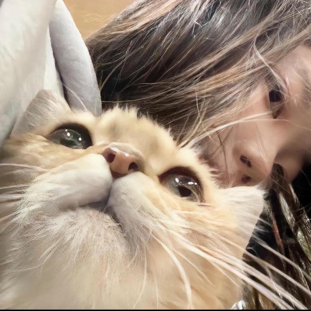 咕噜咕噜^