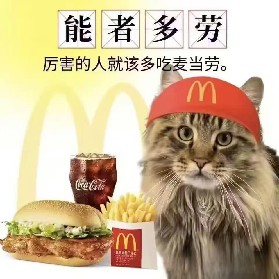 神奇胖虎在哪里