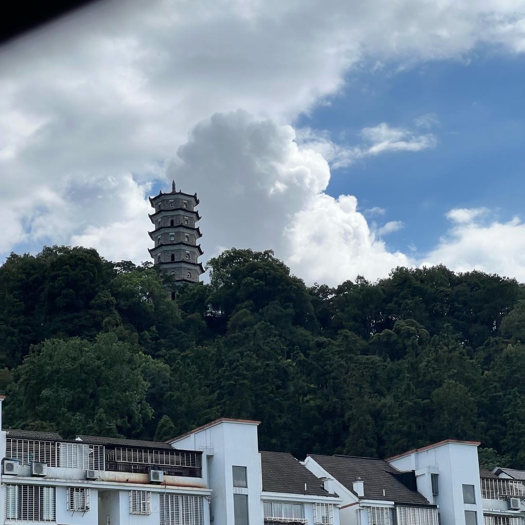 丑丑的蛋