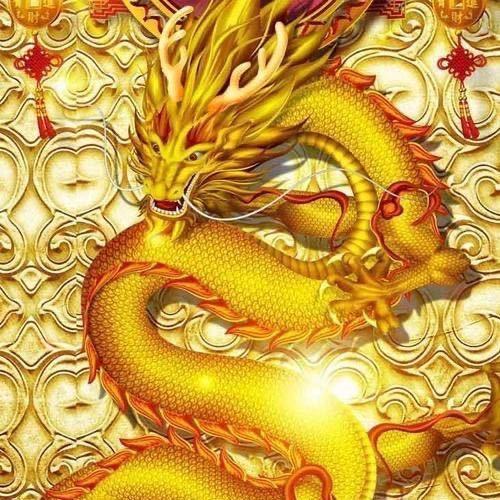 龙干事
