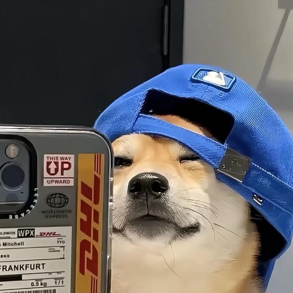 或许