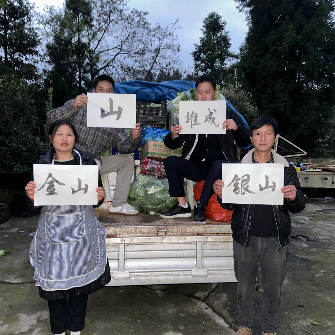 白菜小王子
