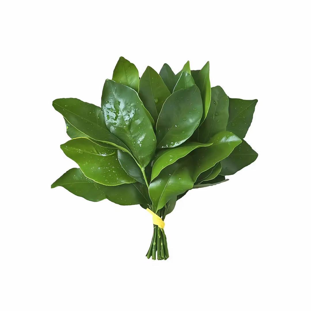 琦.