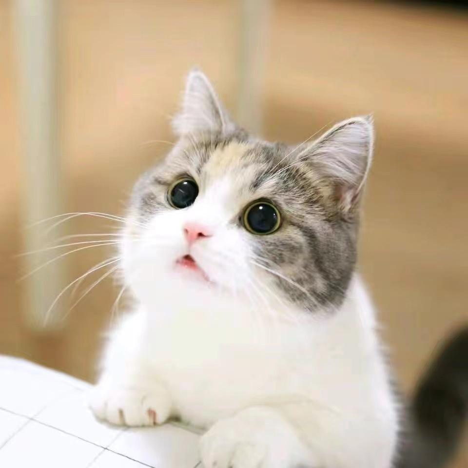 大°C