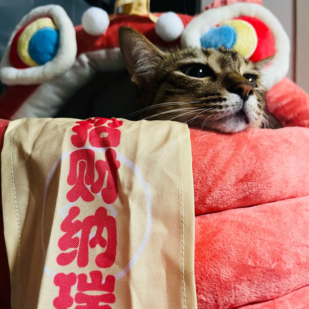 两百万和她的金主妈妈