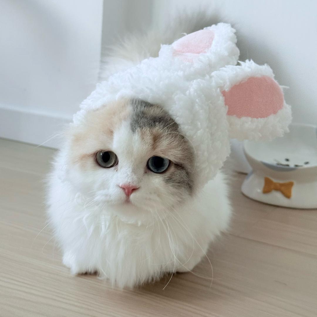 黄名子
