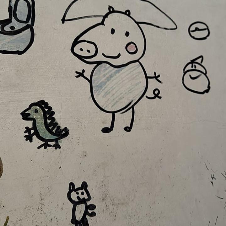 择善而缘