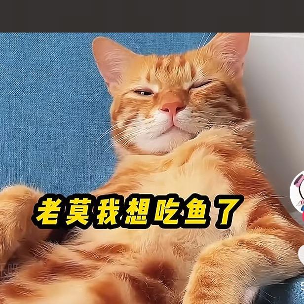 有关必回