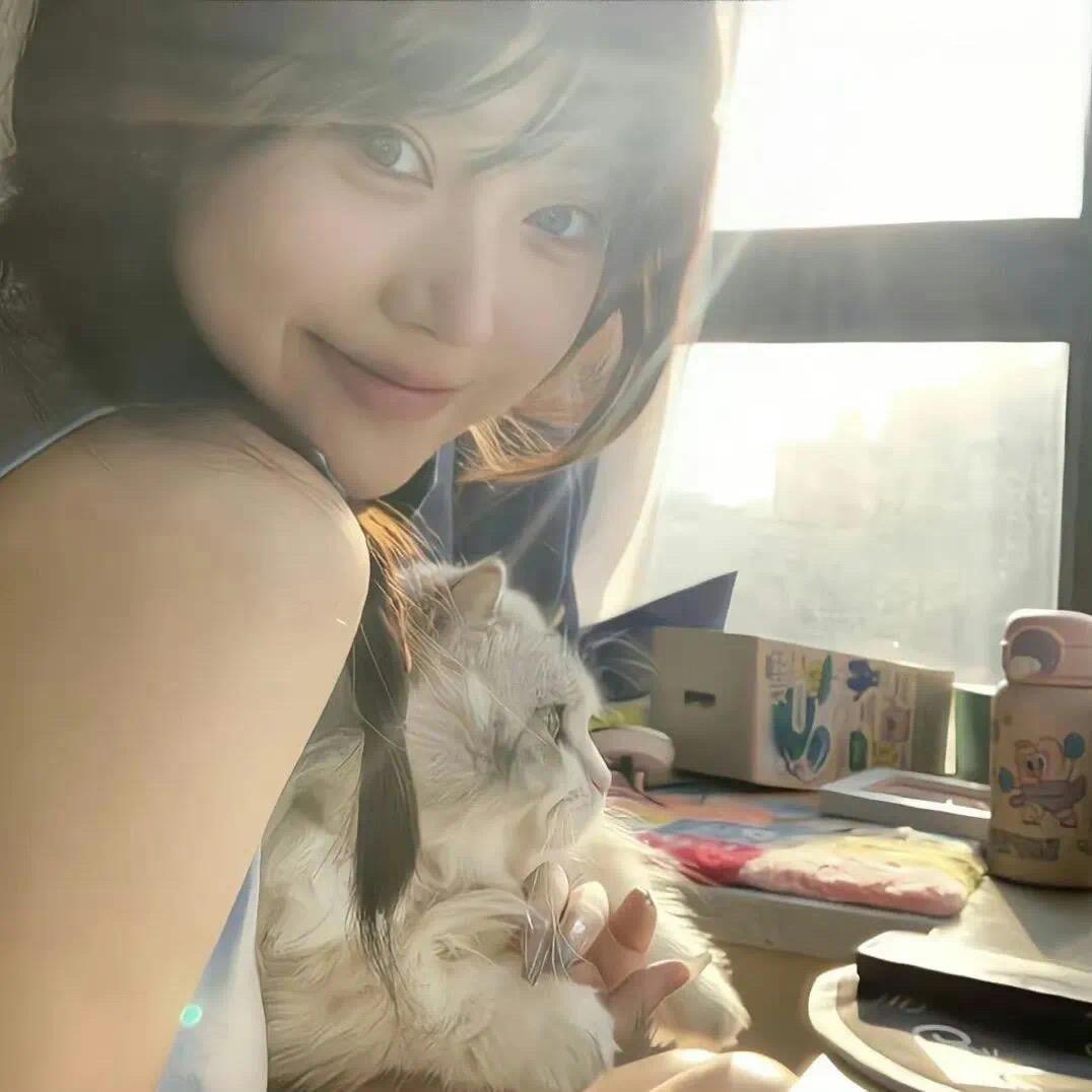 小小小小小飞飞