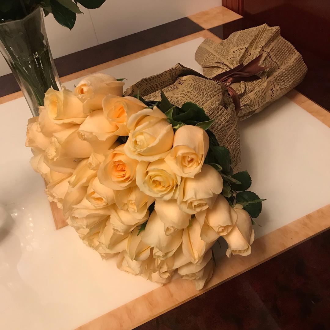 🍀盼盼🌻