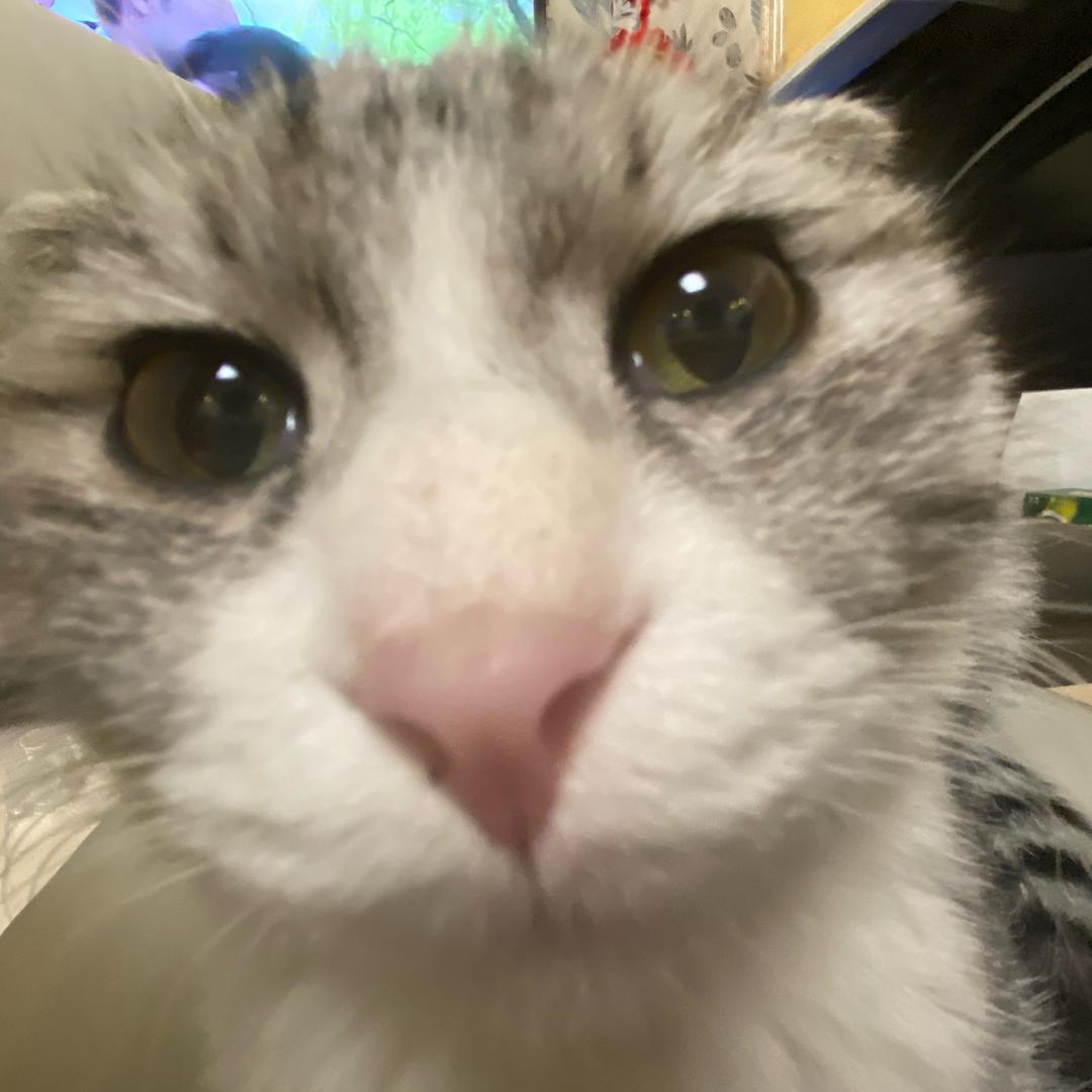 🌈就🌈酱🌈鸭🌈辣