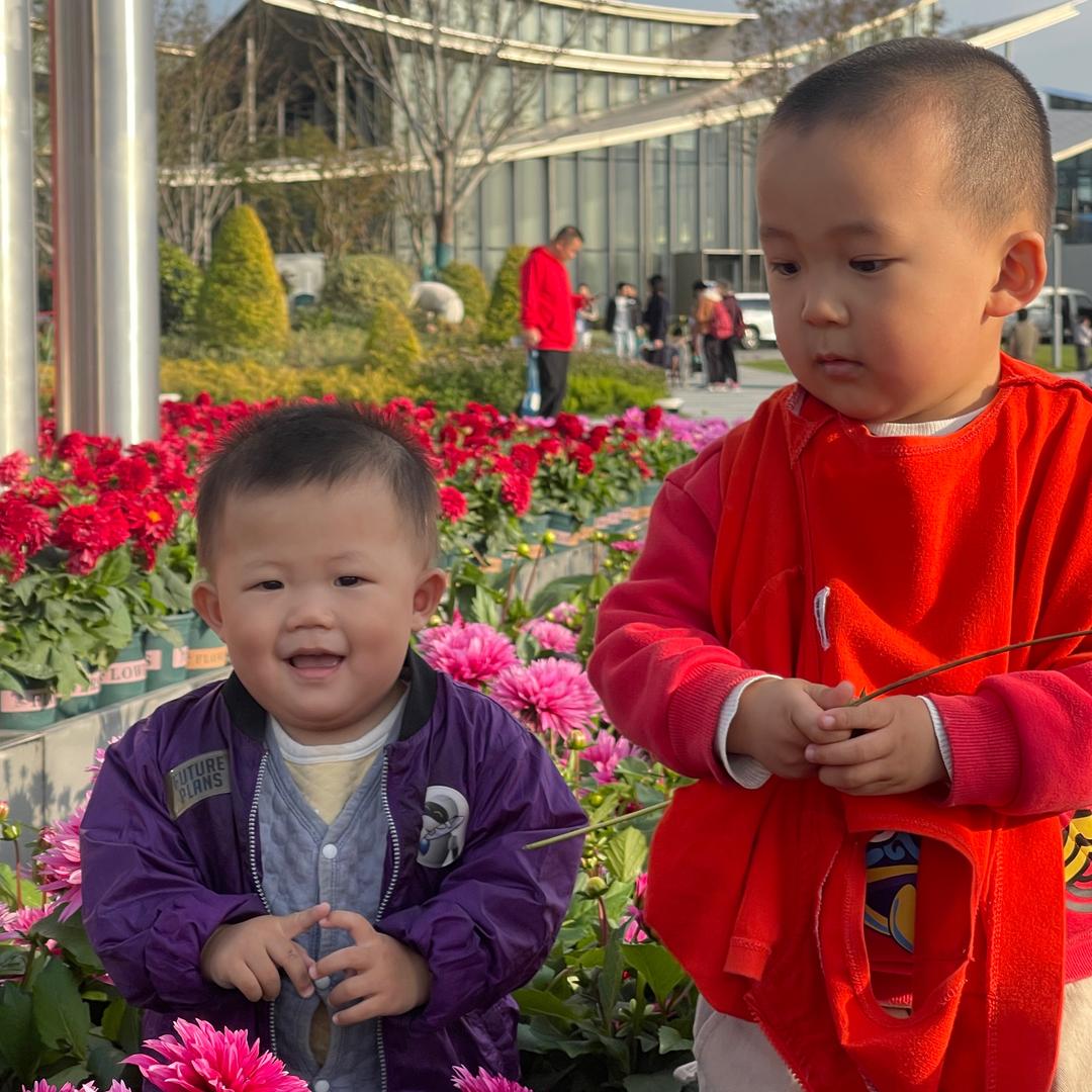 做个俗人无忧无虑