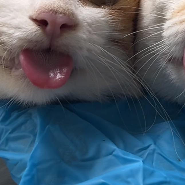 🌈好好生活 哦耶