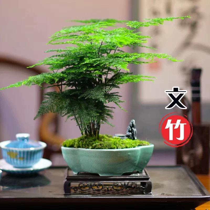 风雨无阻