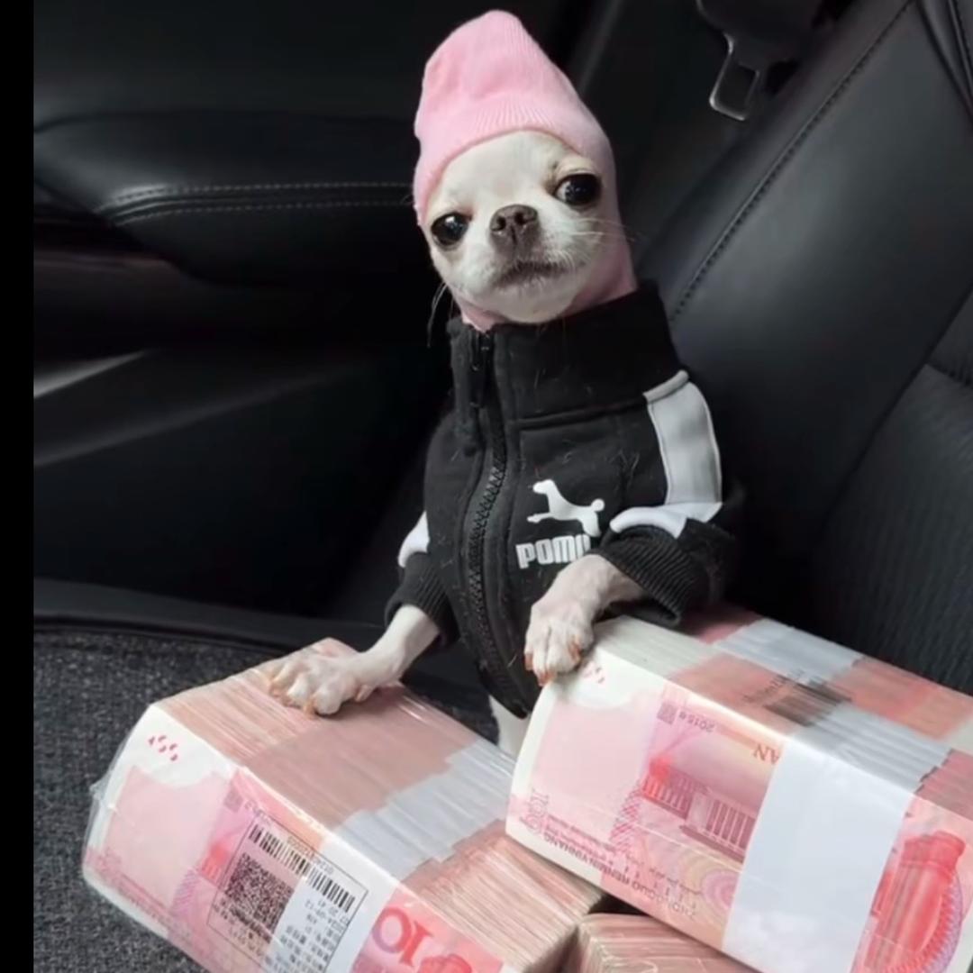 罗斯的脏辫