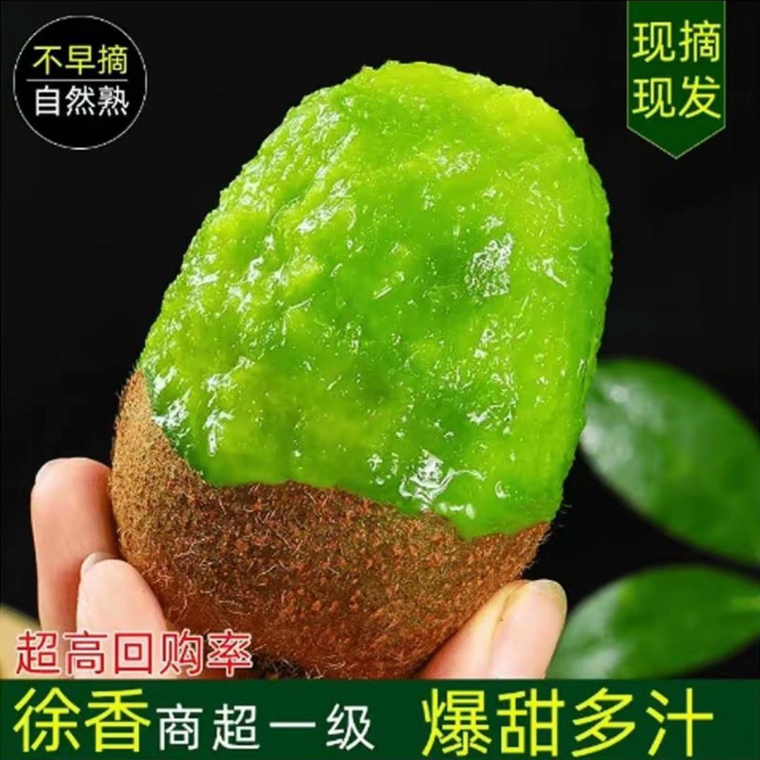 萇⃠茳⃠果园