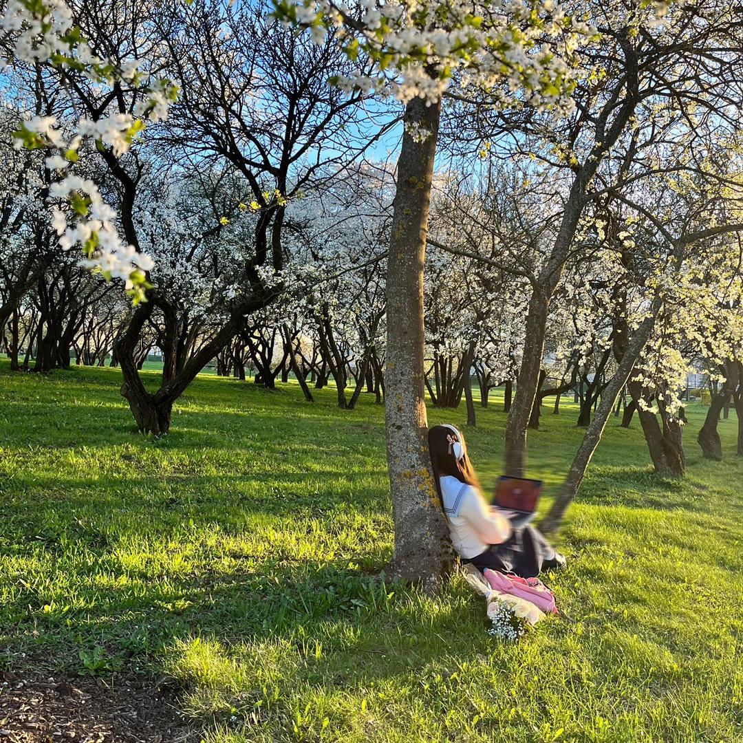 何同学的日记本