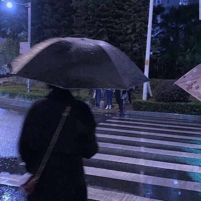 ZJYฅ          🕷️