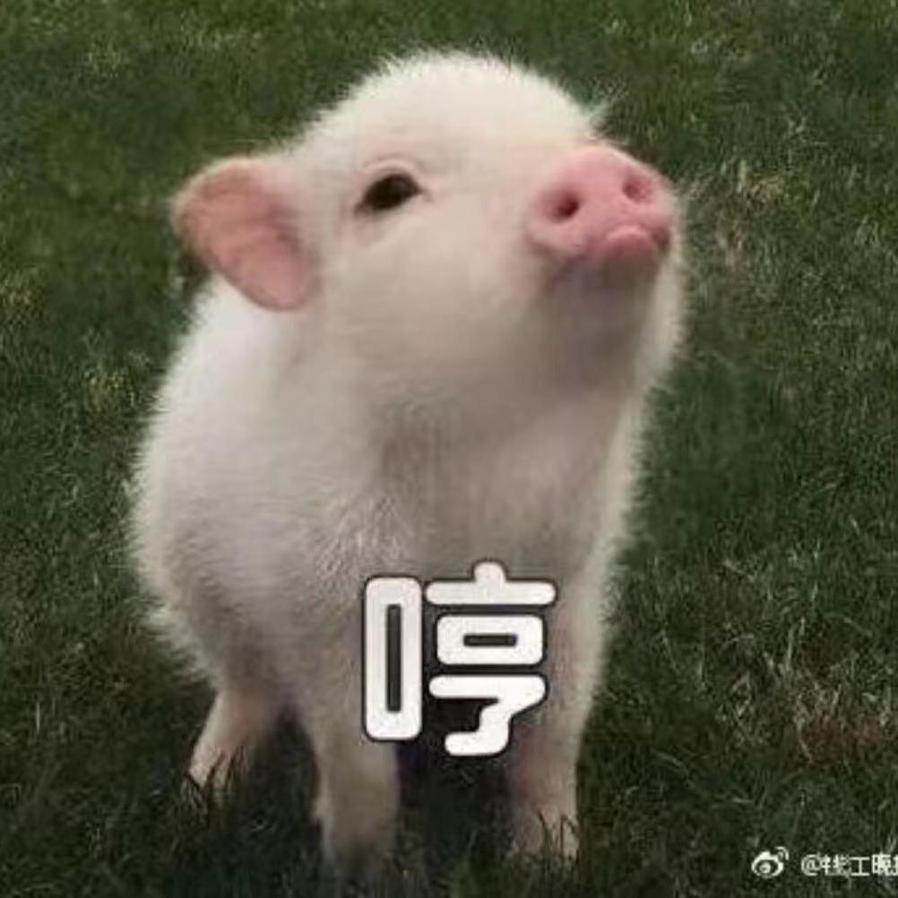 细洙无琛