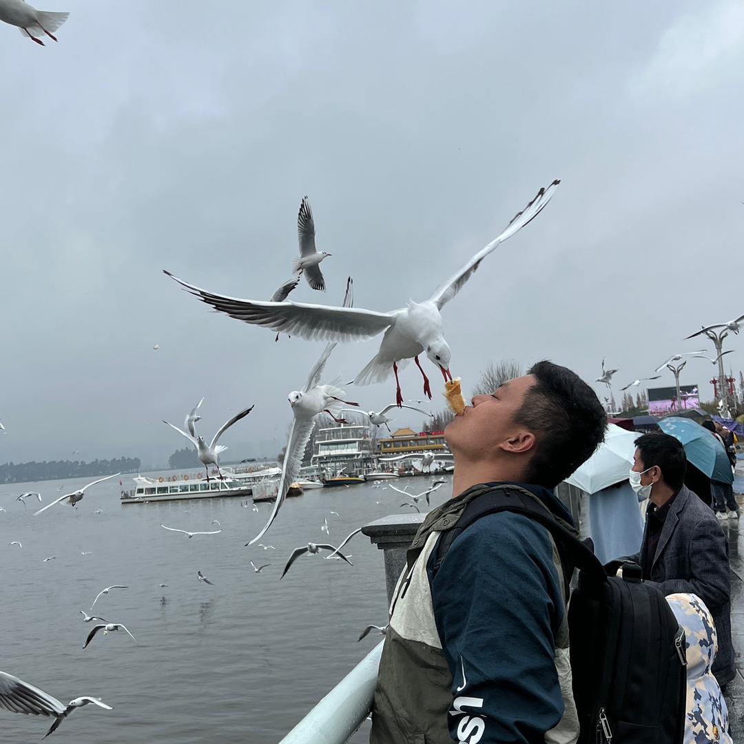 .꧁༺屿麓༻꧂.