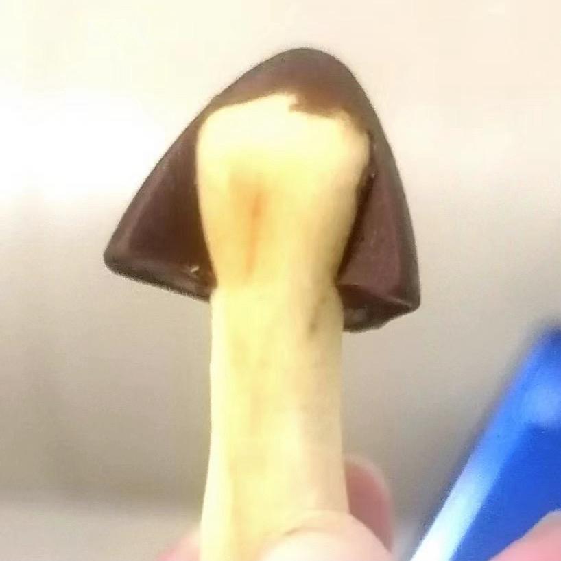 是茜茜呀.