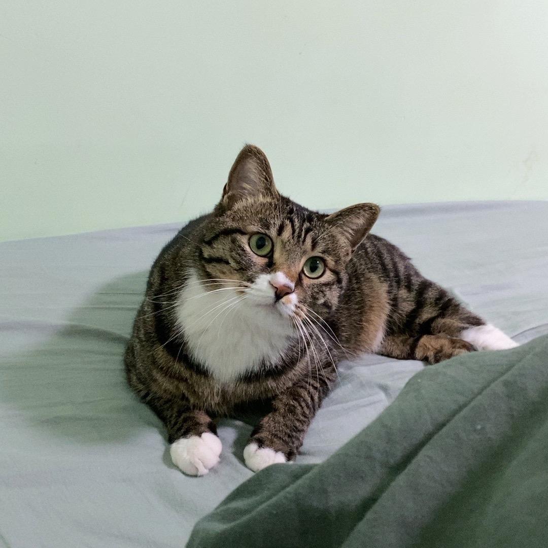 嘿～it’s 咪（炮灰版）