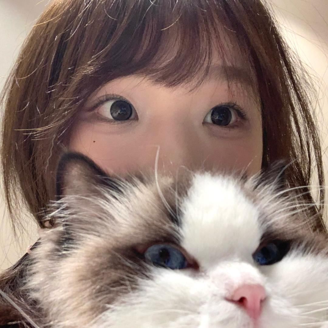 你的肥肥