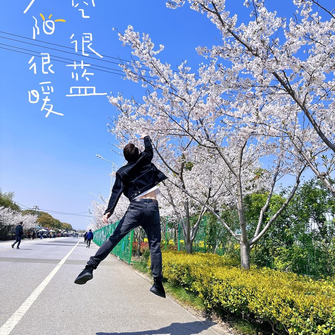 我是圈圈（掌悦）