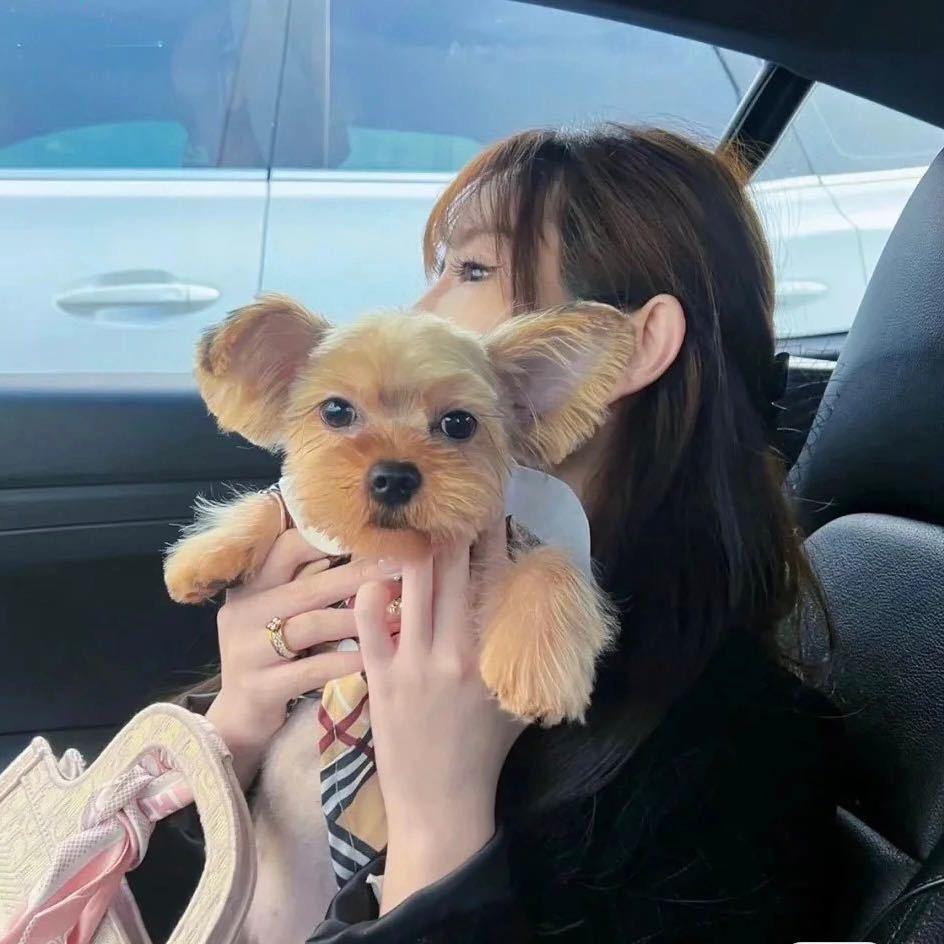 unnioo-