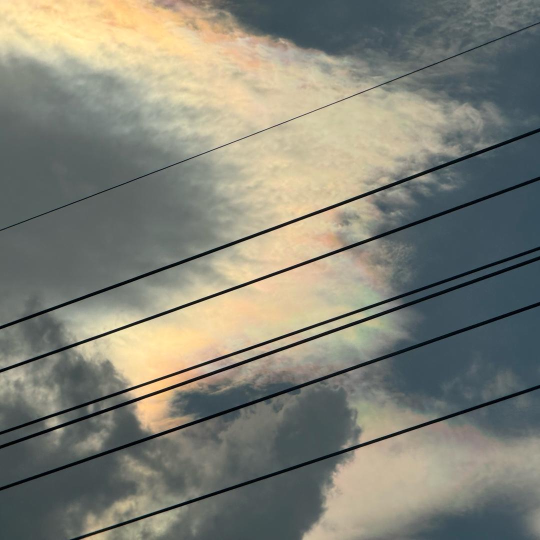 不谈恋爱不换名儿叭