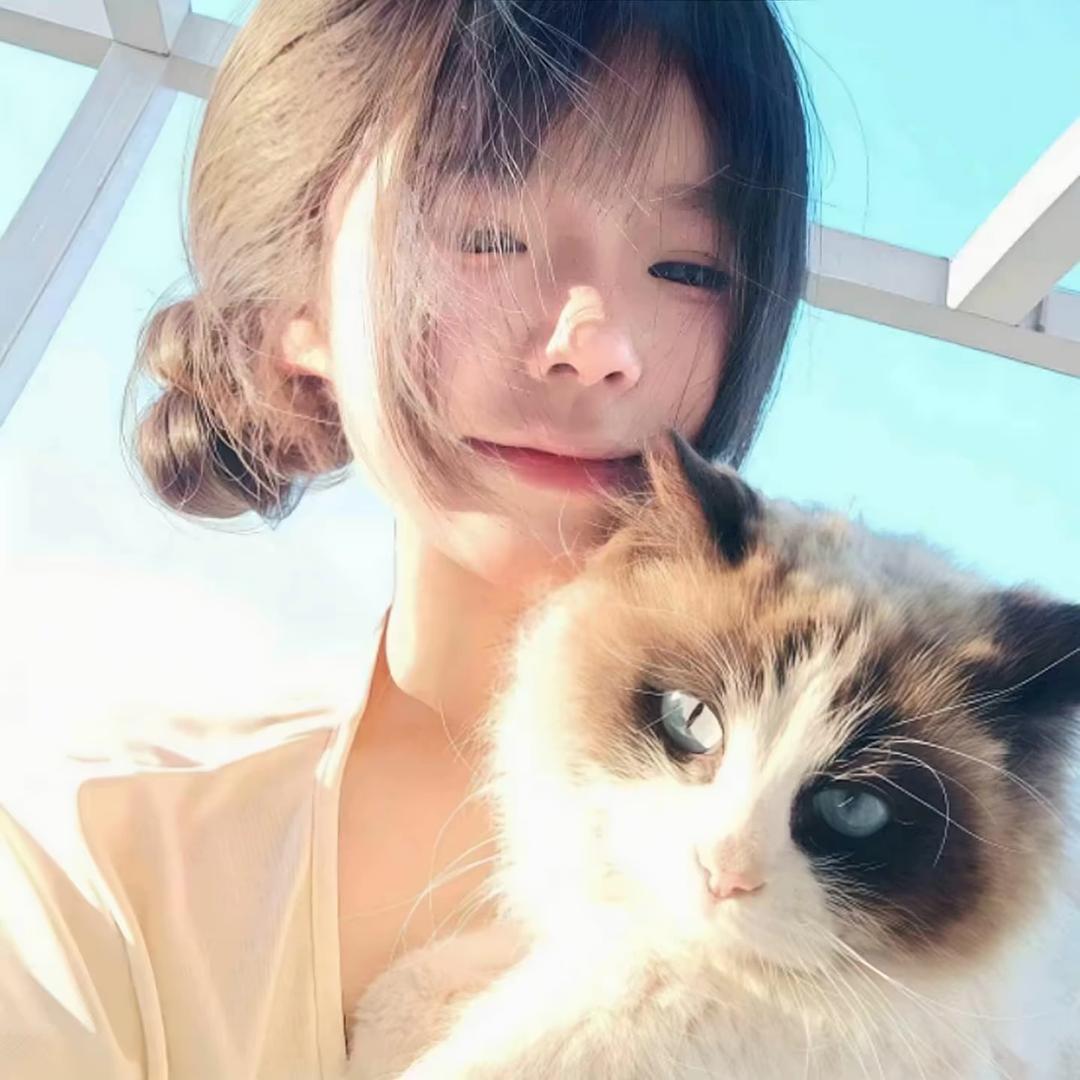 巷子里的猫猫