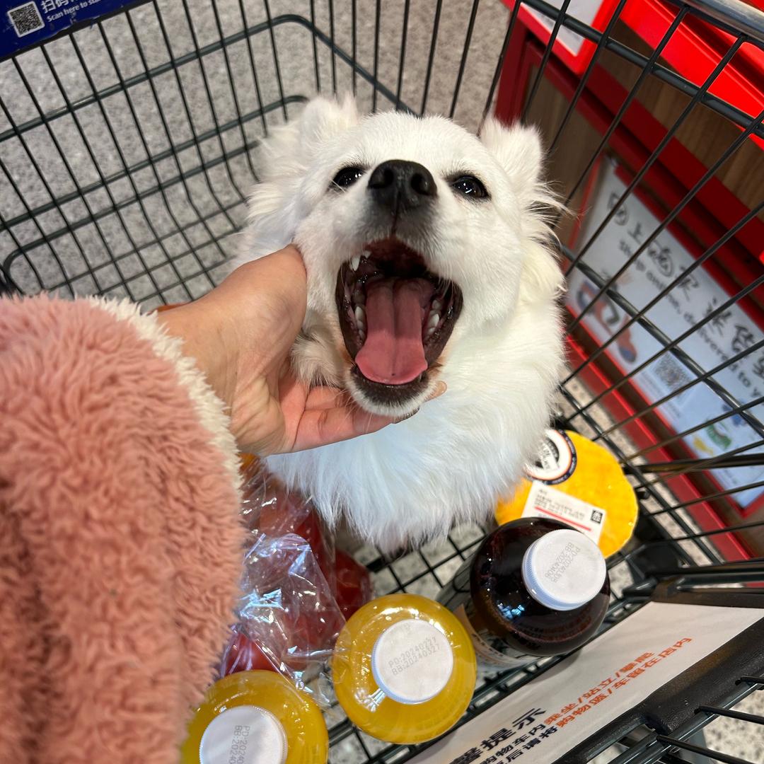 徐毛毛