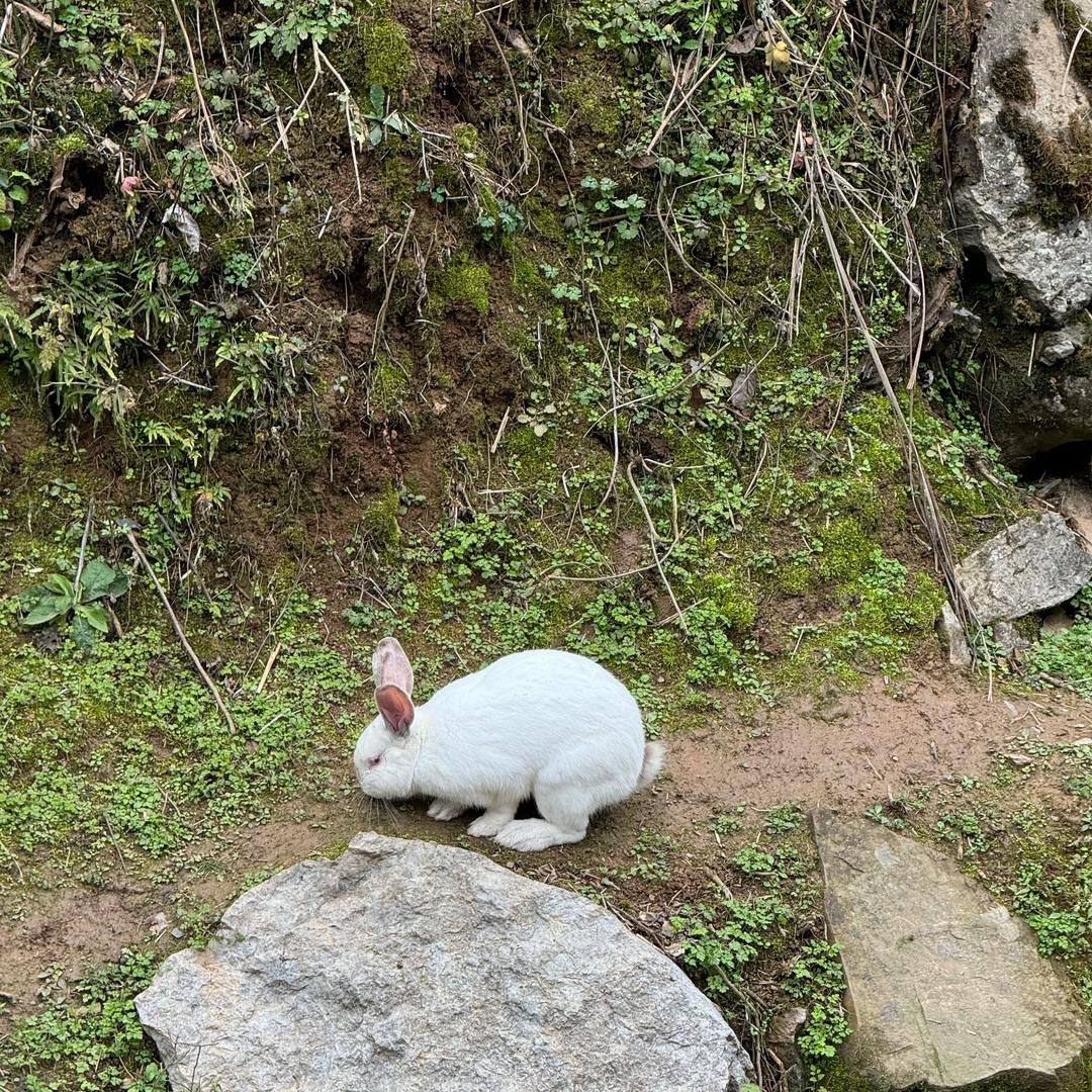 中职择优校Mr Li