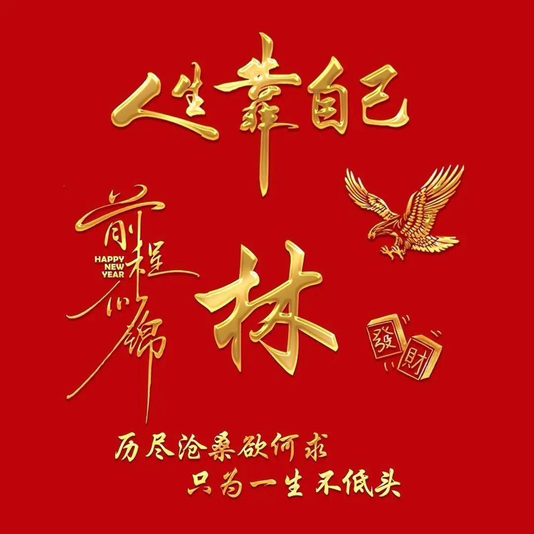 仰风起航