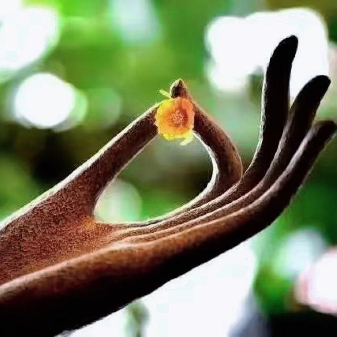 根昱棠•皮肤难题