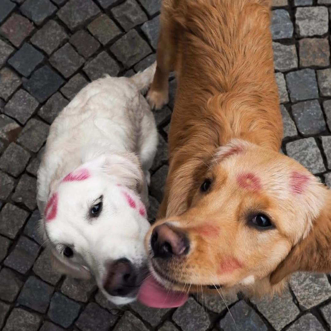 阿巴拉马州州长