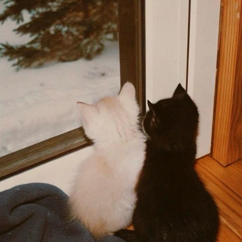 一口都别再吃了